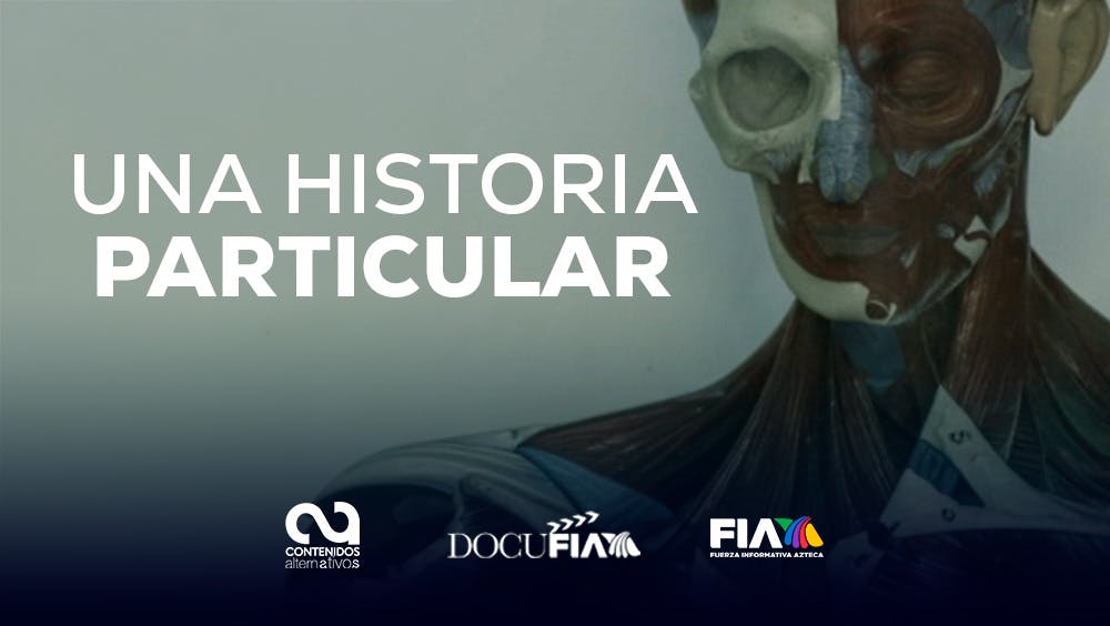 DocuFIA: Una historia particular
