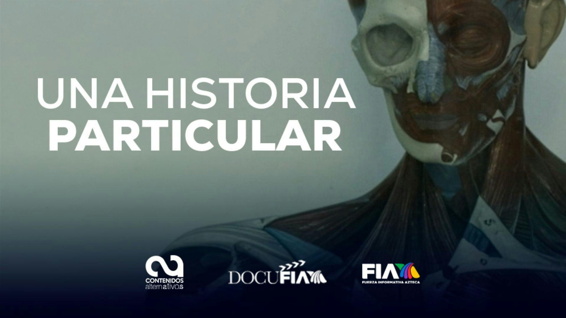 DocuFIA: Una historia particular