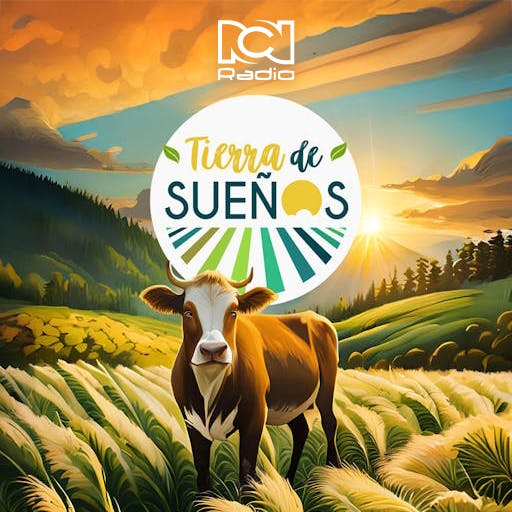 Tierra de Sueños, ¿Cuál es la manera adecuada de llamar a las personas en condición de discapacidad?