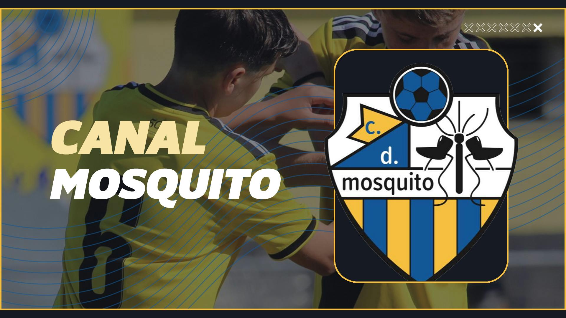 CD Mosquito