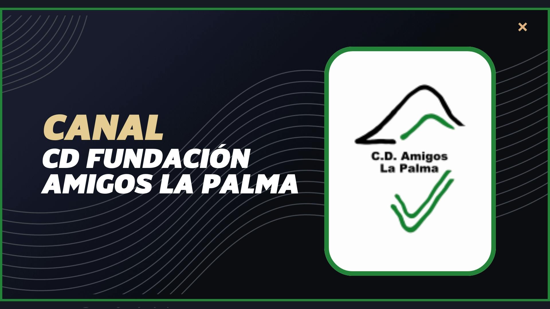 CD Fundación Amigos la Palma