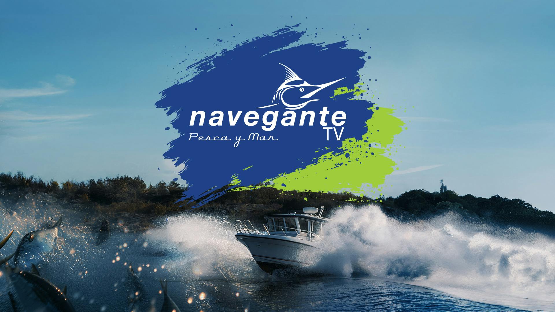 Navegante TV