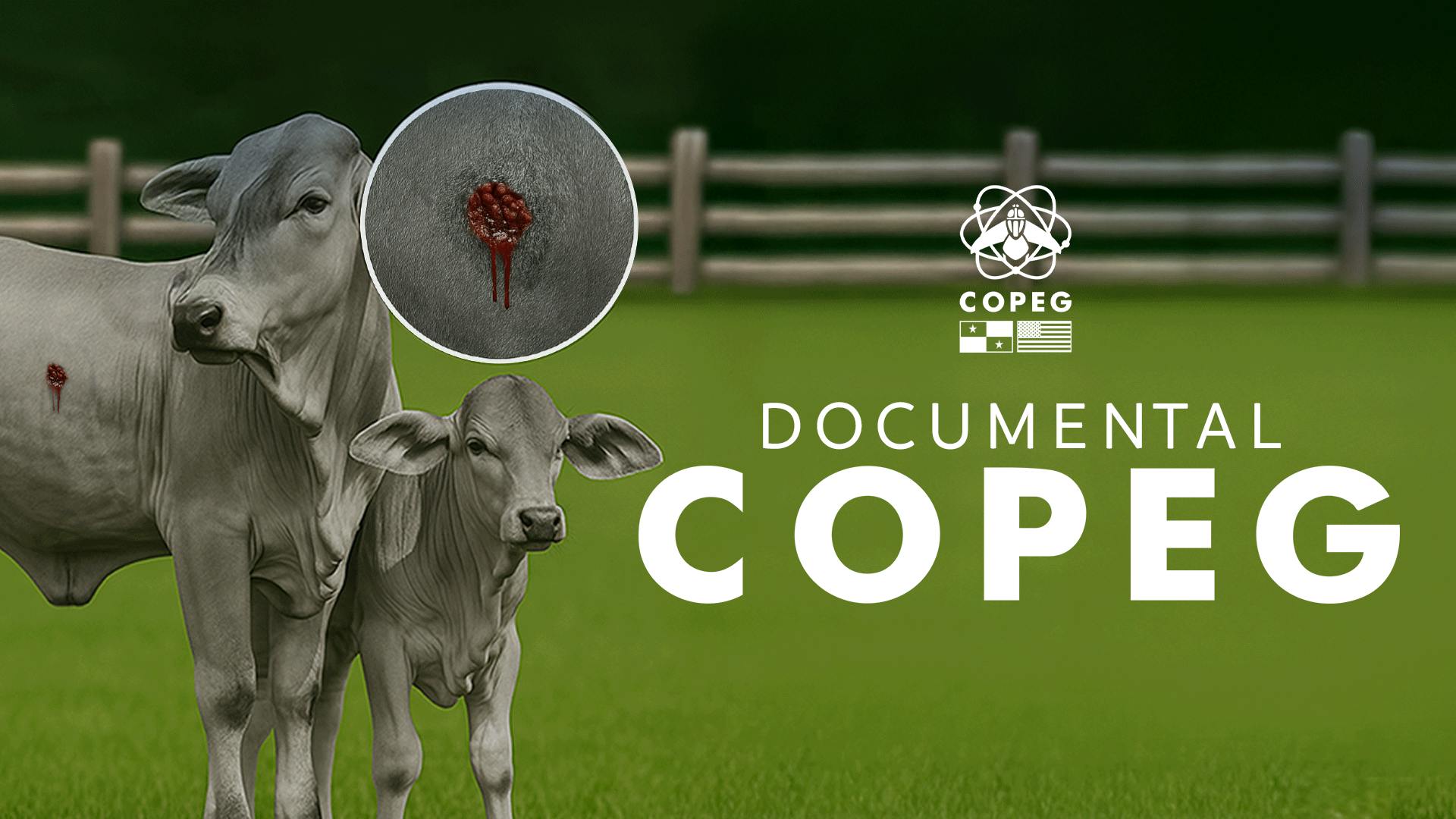 Documental Copeg