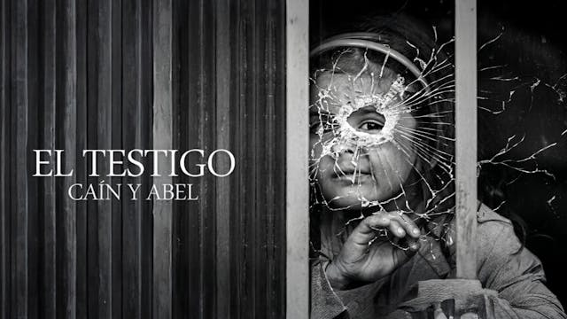El Testigo